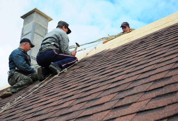 Gutter Installation and Roofing in Taylors, SC